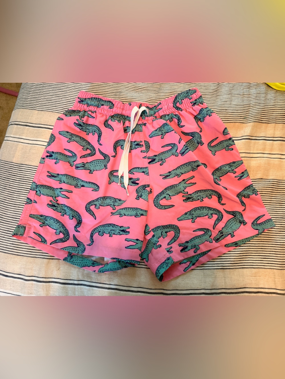 Chubbies swim trunks